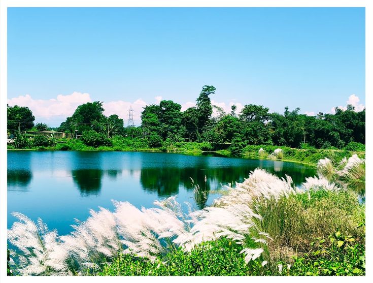 Zuluk Sikkim Tour Package Tour Package